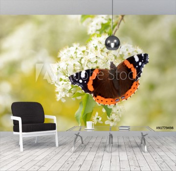 Bild på Schmetterling 123